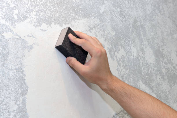 Best Airborne Mold Testing  in Williamsport, OH