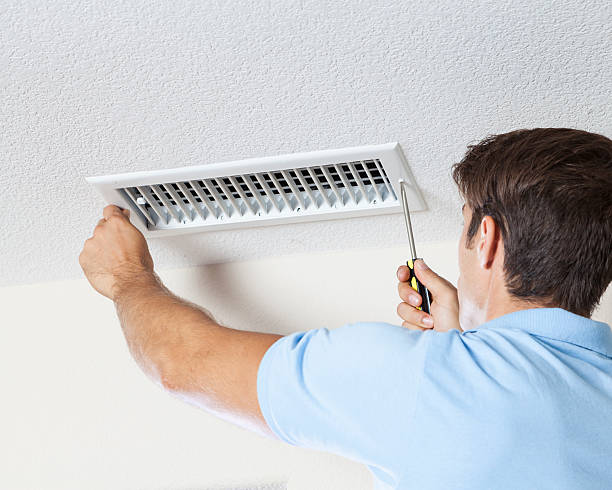 Best Mold-Related Health Consultation  in Williamsport, OH