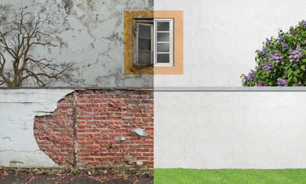 Best Basement Mold Removal  in Williamsport, OH