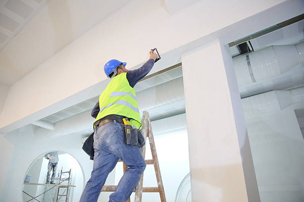 Best Mold Documentation for Insurance Claims  in Williamsport, OH