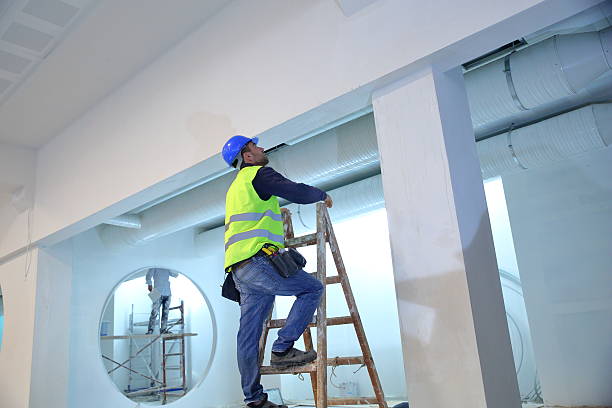 Best Asbestos and Lead Testing During Mold Inspection  in Williamsport, OH